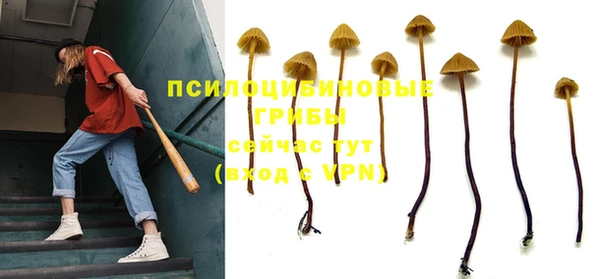 не бодяженный Абинск