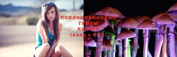 гидропоника Абдулино
