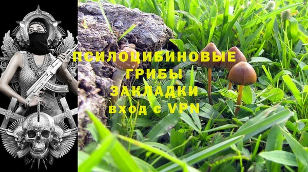 молекула духа Нея