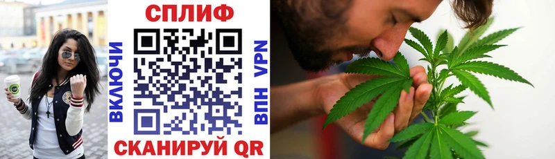 Марихуана White Widow  Ржев 
